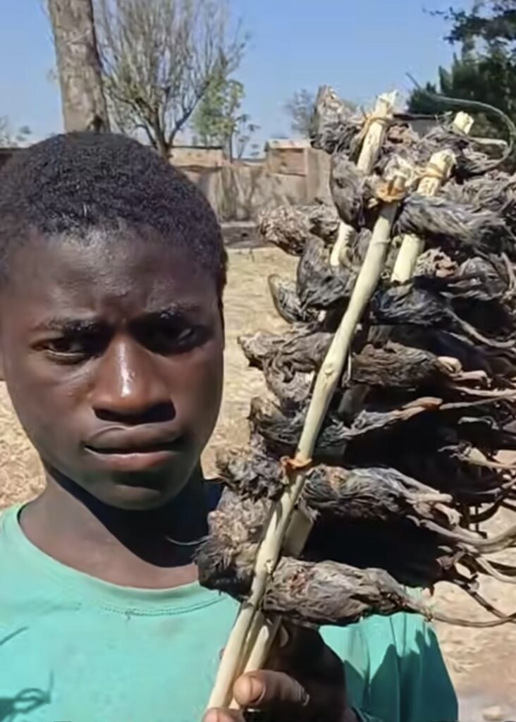 A boy selling mice on sticks by the road.
