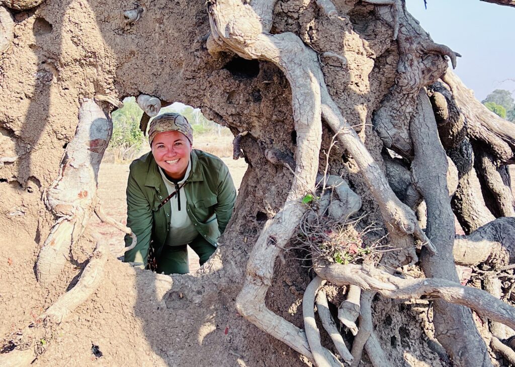Lorena among the roots of the same tree, South Luangwa.