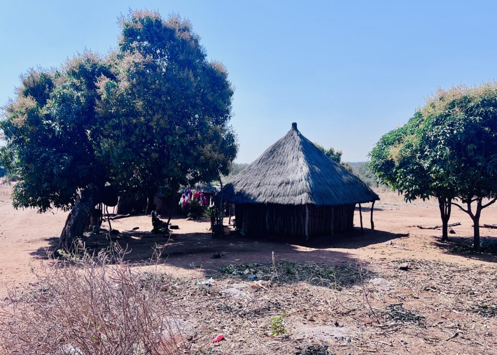 The landscape of eastern Zambia beyond the national park.